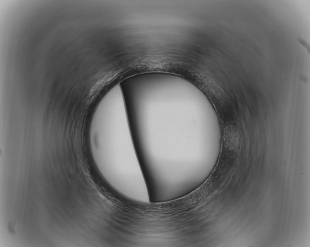 X0000097290740200802151058