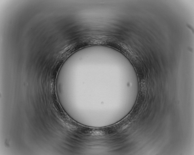 X0000097290741200802151058