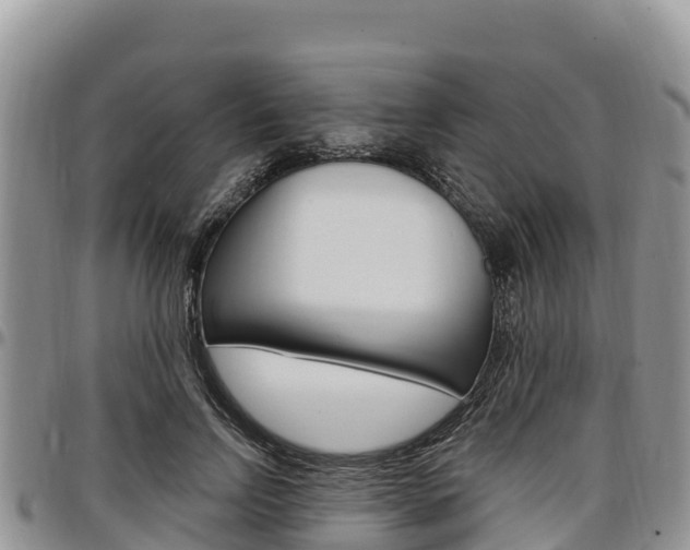 X0000097290742200802151058
