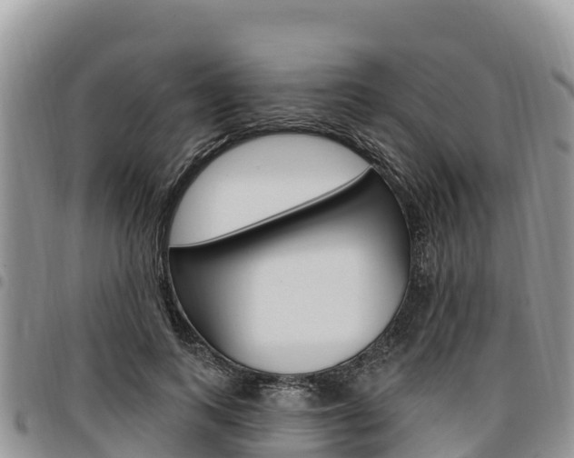 X0000097290743200802151058