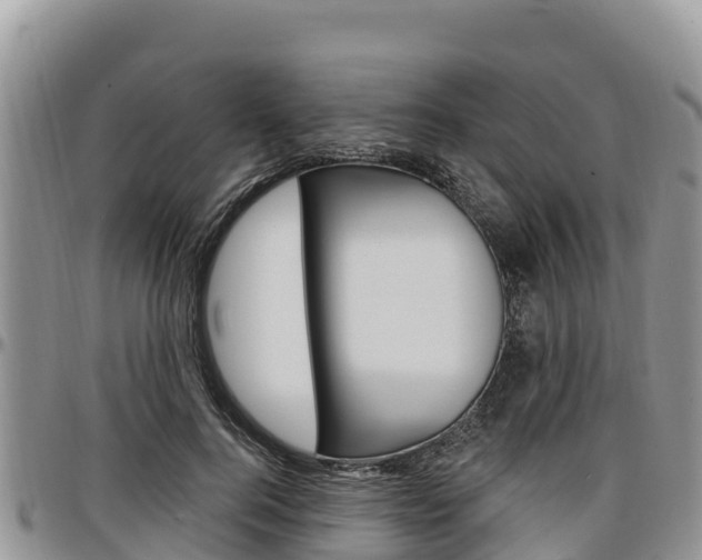 X0000097290744200802151058