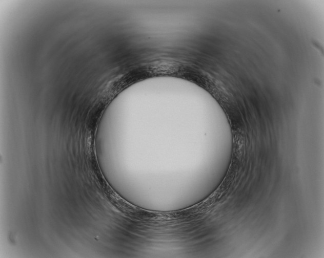 X0000097290745200802151058