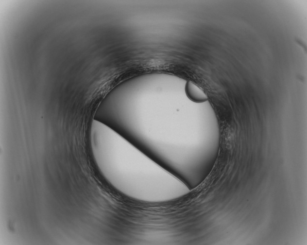 X0000097290746200802151058
