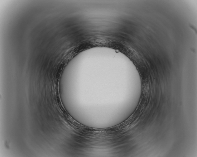 X0000097290749200802151058