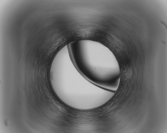 X0000097290750200802151058