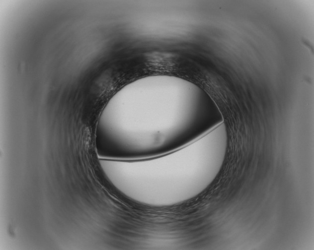X0000097290752200802151058