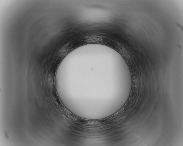 X0000097290753200802151058