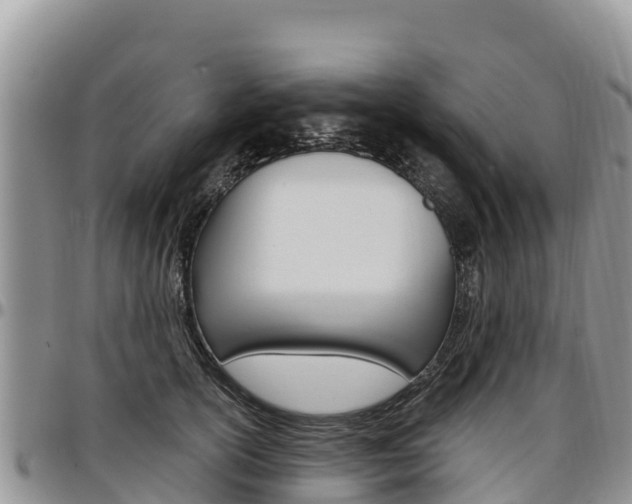 X0000097290754200802151058
