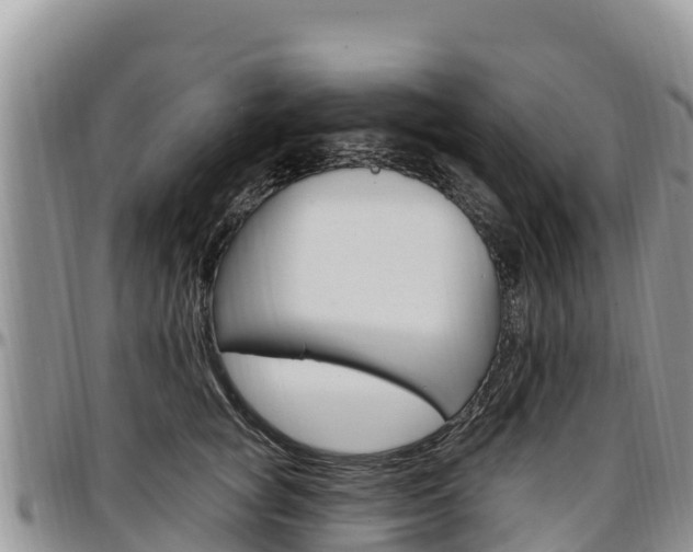 X0000097290757200802151058