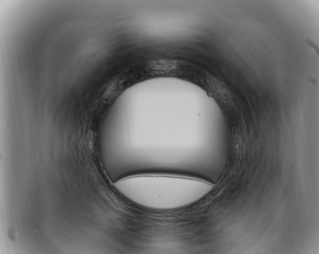 X0000097290758200802151058