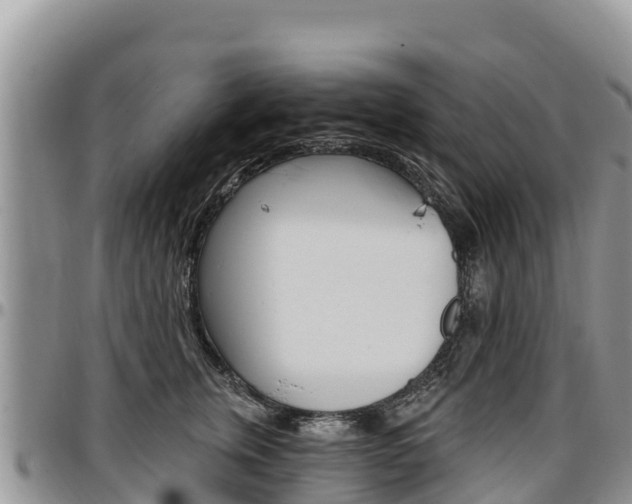 X0000097290759200802151058