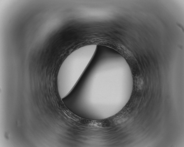 X0000097290760200802151058