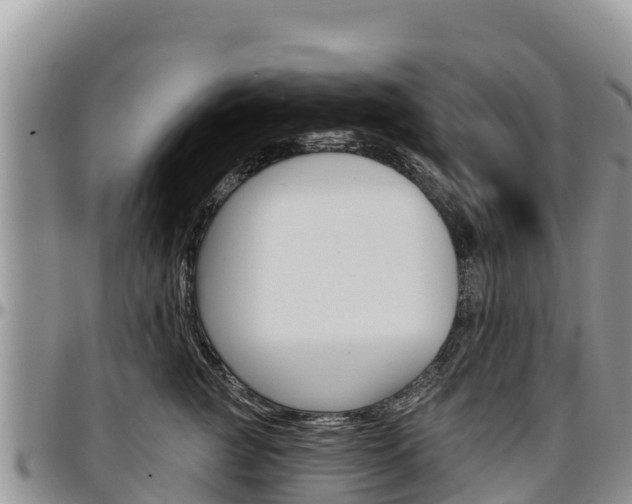 X0000097290761200802151058