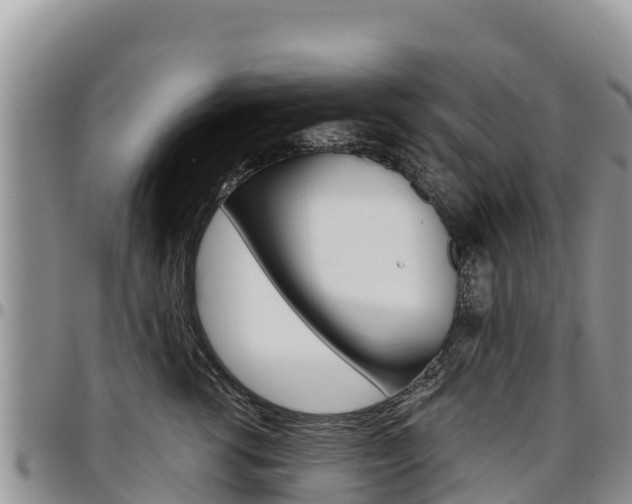X0000097290762200802151058
