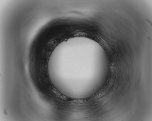 X0000097290763200802151058