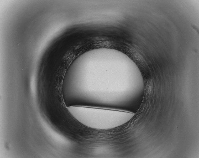 X0000097290764200802151058