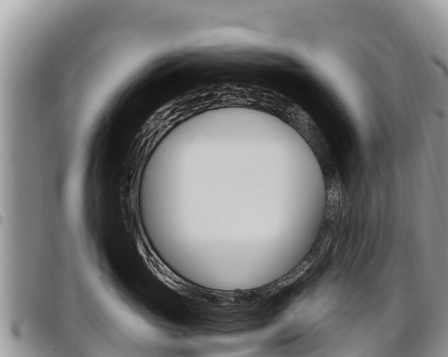 X0000097290765200802151058