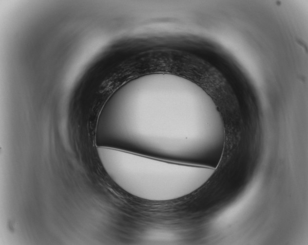 X0000097290766200802151058