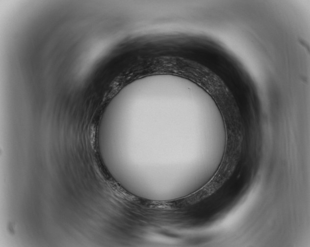 X0000097290767200802151058