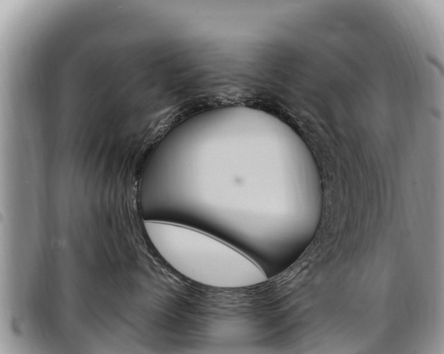 X0000097290768200802151058