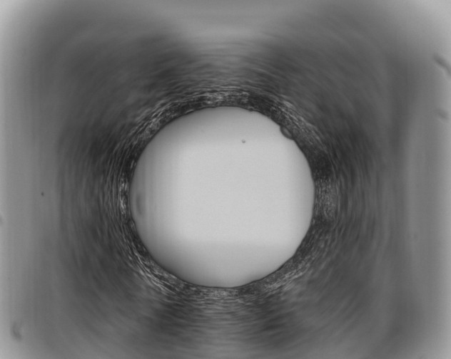 X0000097290770200802151058