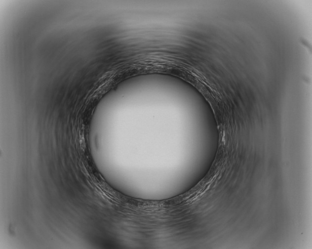 X0000097290771200802151058