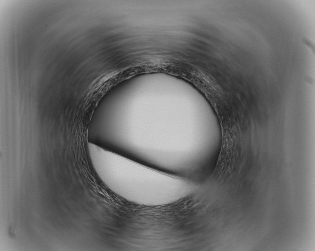 X0000097290773200802151058