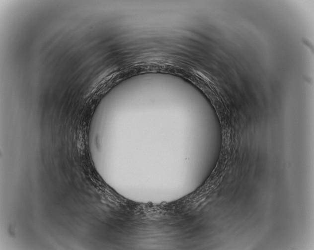 X0000097290774200802151058