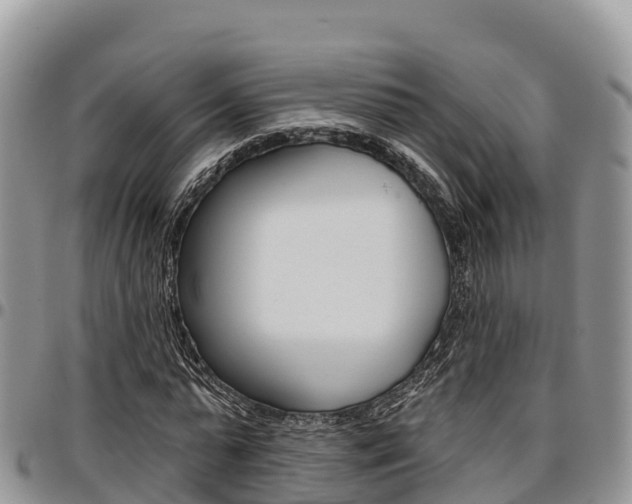 X0000097290775200802151058