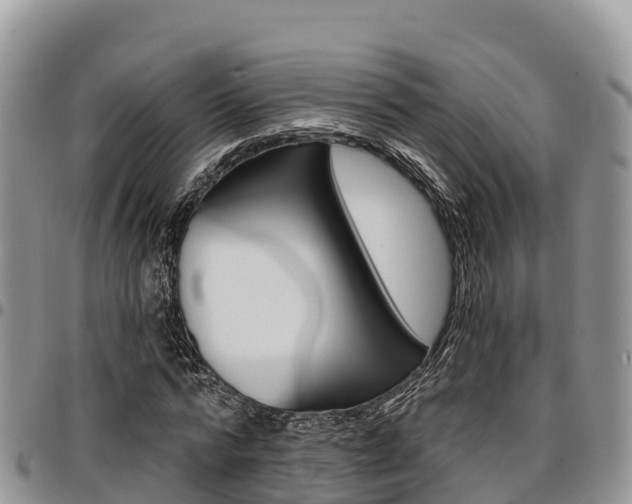 X0000097290776200802151058