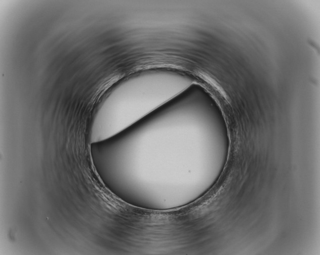X0000097290777200802151058