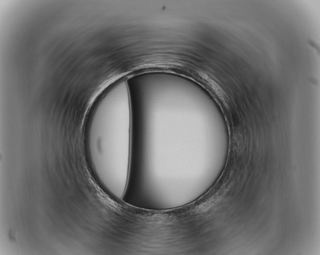 X0000097290779200802151058
