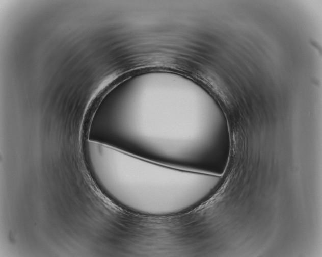 X0000097290780200802151058