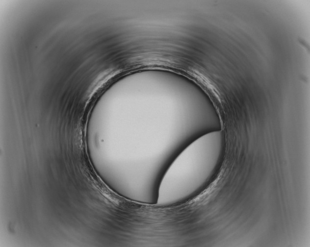X0000097290782200802151058