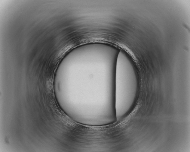 X0000097290785200802151058