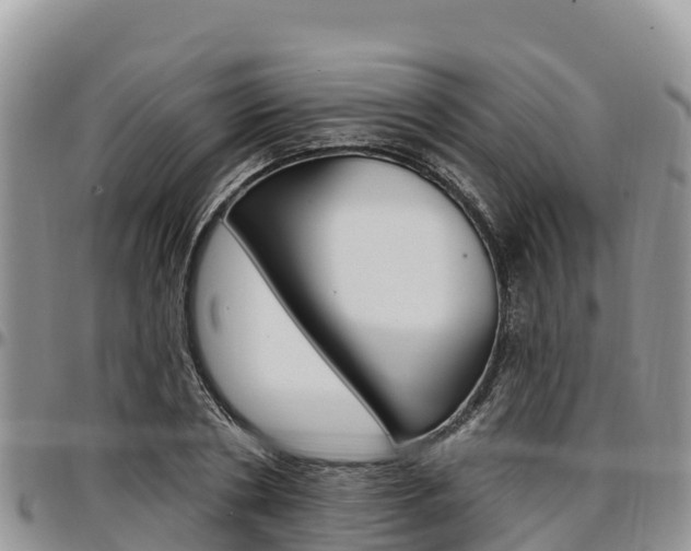 X0000097290786200802151057