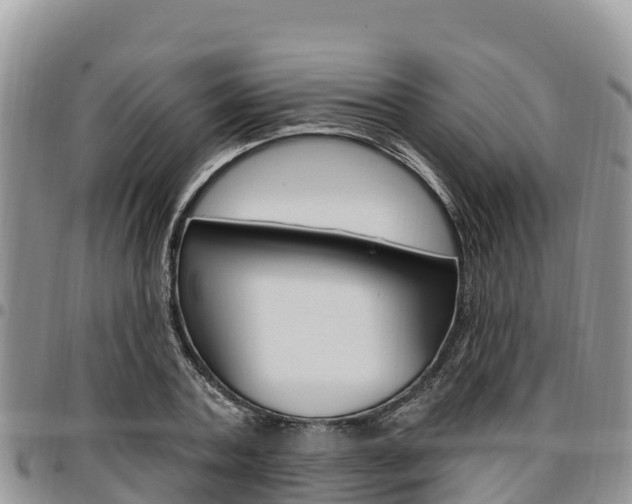 X0000097290787200802151057