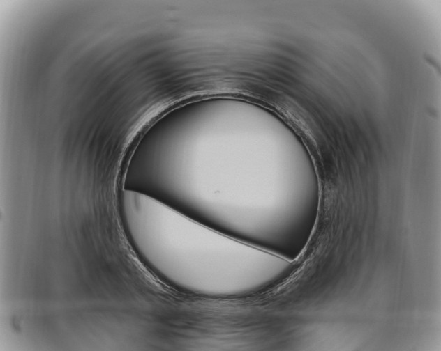 X0000097290789200802151057