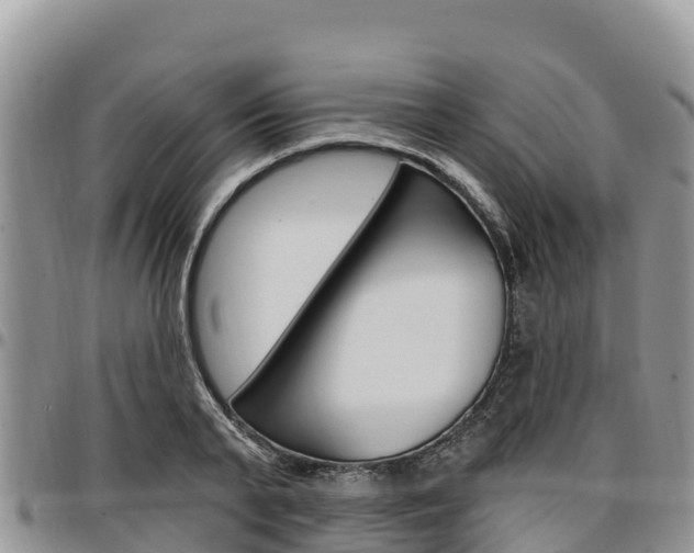 X0000097290791200802151057