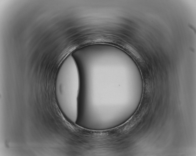 X0000097290793200802151057