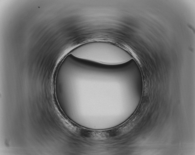 X0000097290795200802151057