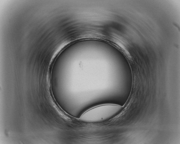 X0000097290796200802151057