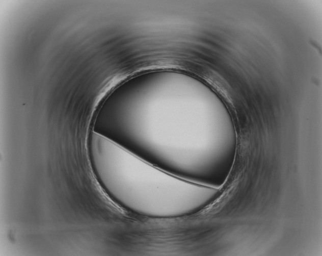 X0000097290797200802151057