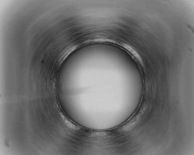 X0000097290801200802151057
