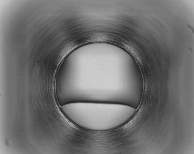 X0000097290802200802151057