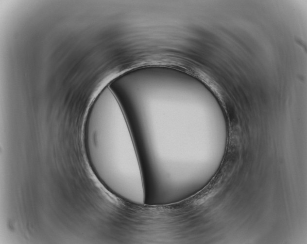 X0000097290803200802151057