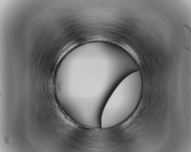 X0000097290806200802151057