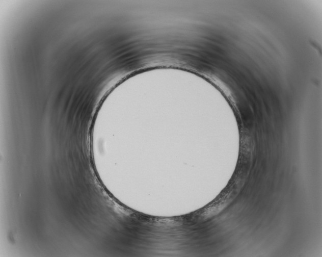 X0000097290807200802151057
