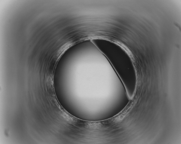 X0000097290809200802151057