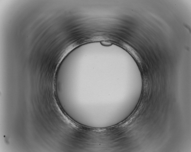 X0000097290810200802151057